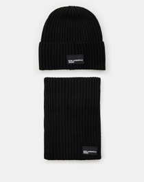 Набор из шапки и шарфа